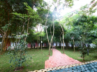 竹林小道