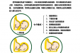 母乳喂养指导篇