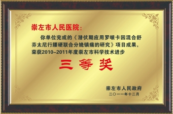 荣获2010-2011年度崇左市科学技术进步三等奖