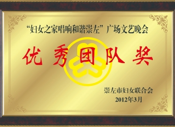 荣获“妇女之家唱响和谐崇左”广场文艺晚会优秀团队奖