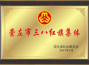 荣获2017年崇左市三八红旗集体