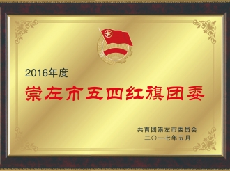 荣获2016年度崇左市五四红旗团委