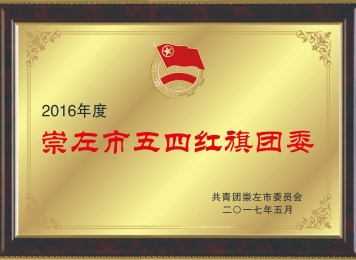 荣获2016年度崇左市五四红旗团委
