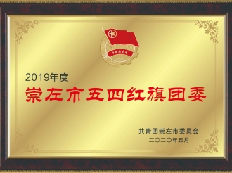 荣获2019年度崇左市五四红旗团委