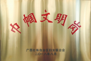 心血管内科荣获巾帼文明岗