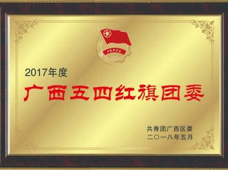 荣获2017年度广西五四红旗团委