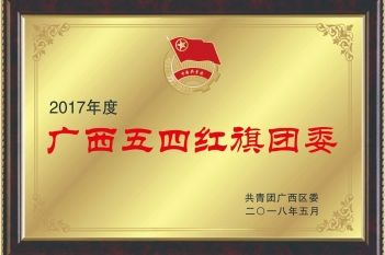 荣获2017年度广西五四红旗团委