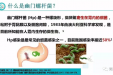 幽门螺杆菌