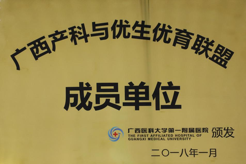 图片 11