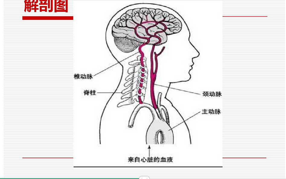 图片 11