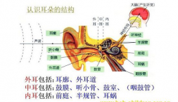 乳突根治术护理