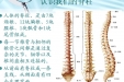脊柱健康管理