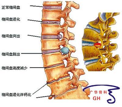 图片 7