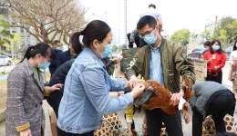 市人民医院开展消费爱心扶贫鸡活动