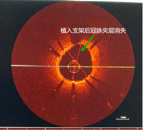 图片 8