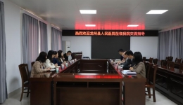 龙州县总医院到我院交流指导