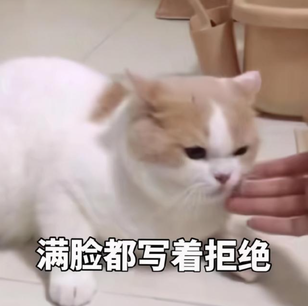 4 图片