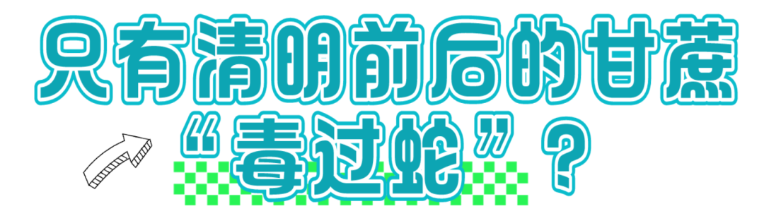 6 图片
